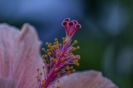 美景随拍感言简短句子