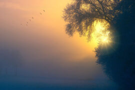 千般荒凉，以此为梦。万里蹀躞，以此为归