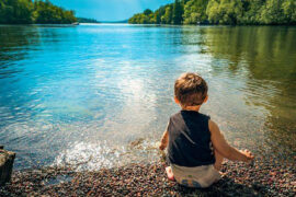 只有立足平等的教育，使草木自己成长，每个人的本质才都能得以发挥