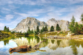 暖和的反义词有哪些？