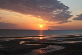 描写夏天的诗句