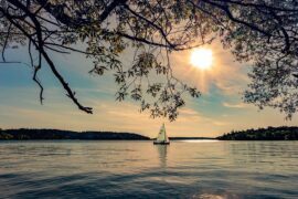 形容夏天的四字词语or成语