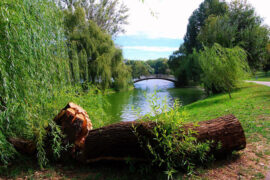 KEY.L刘聪《清风调》歌词及评论赏析