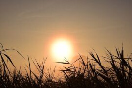 28首表达相思入骨的诗句