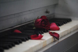 《满格讯号》歌词及评论赏析