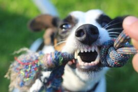 骂人超狠超难听的句子