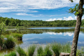 欧阳修《踏莎行·候馆梅残》全文及鉴赏