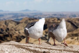 放松心情的幽默句子