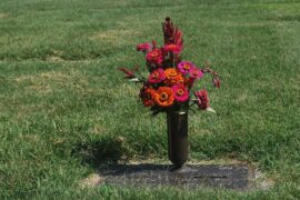 发怵的意思及造句，反义词有哪些