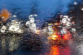 纳兰性德《浪淘沙·夜雨做成秋》全文翻译及鉴赏