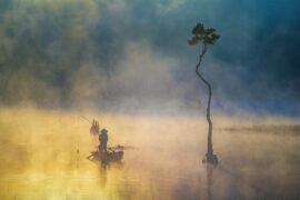 欧阳修《渔家傲·暖日迟迟花袅袅》全文及鉴赏