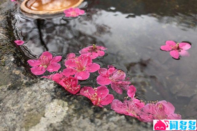 晏几道《南乡子·花落未须悲》全文及鉴赏