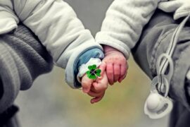 毛省曈《左手和右手》歌词及评论赏析