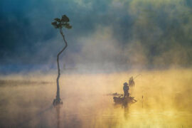 欧阳修《渔家傲·五月榴花妖艳烘》全文及鉴赏