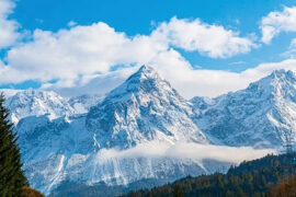 纳兰性德《临江仙·寒柳》全文及鉴赏