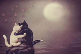 CJ 周密《周周》歌词及评论赏析