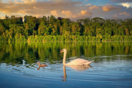 秦观《桃源忆故人·玉楼深锁薄情种》全文及鉴赏