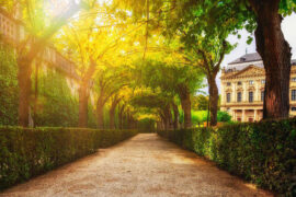 纳兰性德《满江红·为问封姨》全文及鉴赏