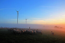 乌兰托娅《天边》歌词及评论赏析