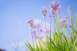 PSY.P《说走就走》歌词评论及赏析