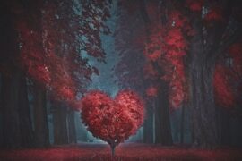 七夕情人节最新内涵情话（七夕表白暖心句子精选）