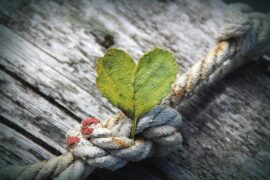 表达心存感激的句子