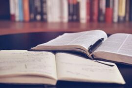 潇潇的暑假书单