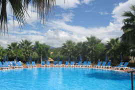 橘子海《夏日漱石》歌词及评论赏析