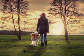 张叶蕾《还是分开》歌词及评论赏析