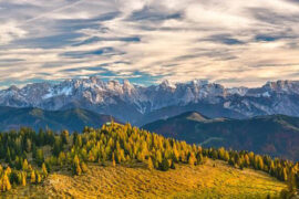 柳永《忆帝京·薄衾小枕凉天气》全文及鉴赏