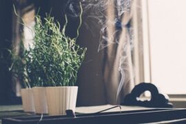 独处静心唯美句子最新精选