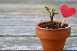 张震岳《小宇》歌词及评论赏析