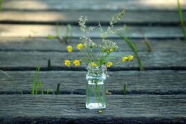 想念一个人的暖心情话（最新50句）