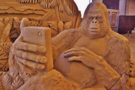 又可爱又沙雕的句子