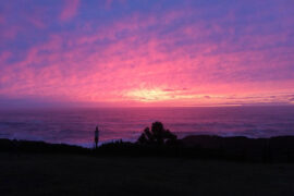 Tacke竹桑《平生一诺》歌词及评论赏析