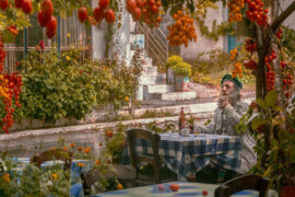 金天《零落》歌词及评论赏析