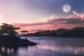 苏星婕《我的月亮》歌词及评论赏析