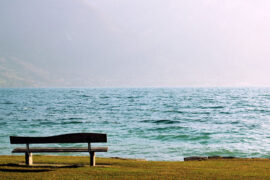 周深《后来没有你》歌词及评论赏析