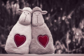 蒋小呢《给你呀》歌词及评论赏析