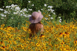 梁静茹《如果有一天》歌词评论及赏析