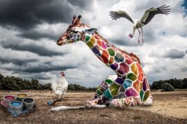 邓紫棋《摩天动物园》歌词及评论赏析