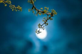 INTO1《一步一诗一梦》歌词及评论赏析