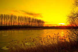 柳永《引驾行·红尘紫陌》全文及鉴赏