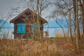 海来阿木《五十年以后》歌词及评论赏析