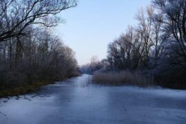 《探清水河》完整版歌词及评论赏析