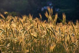 表达收获满满的句子