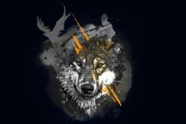 邓紫棋《灰狼》歌词及评论赏析