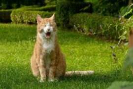 微信拍一拍高情商句子（105句搞笑不重复）