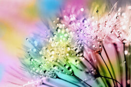 野生三十《我要》歌词及评论赏析