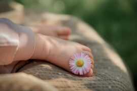 朋友圈晒花的唯美句子